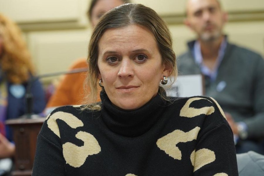 LUDOPATÍA ON LINE: EL PROBLEMA LLEGÓ A LA LEGISLATUA PROVINCIAL