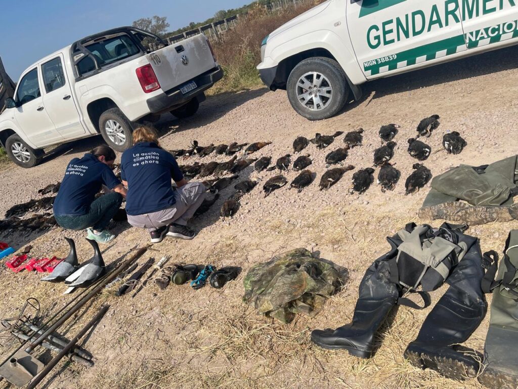 TURISTAS EXTRANJEROS DEMORADOS POR CAZAR ILEGALMENTE EN EL NORTE DE LA PROVINCIA DE SANTA FE
