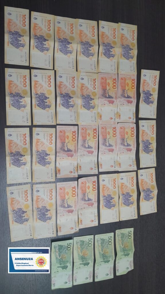 APREHENSIÓN EN FLAGRANCIA DE UNA JOVEN POR HURTO DE DINERO